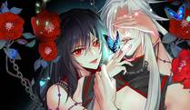 日与夜封面